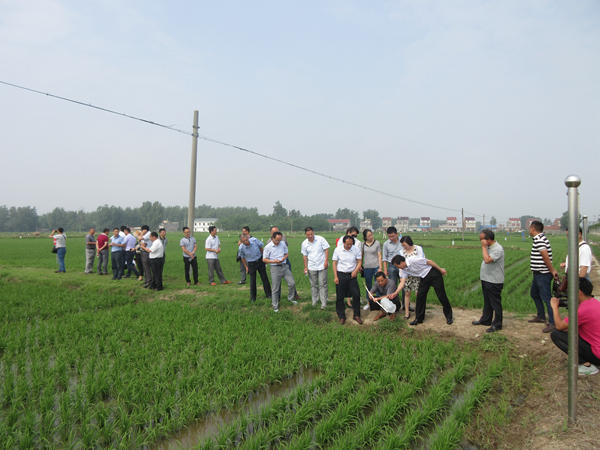 全省農(nóng)作物重大害蟲性誘防控觀摩會在我縣召開2_副本.jpg 全省農(nóng)作物重大害蟲性誘防控觀摩會在我縣召開2_副本.jpg