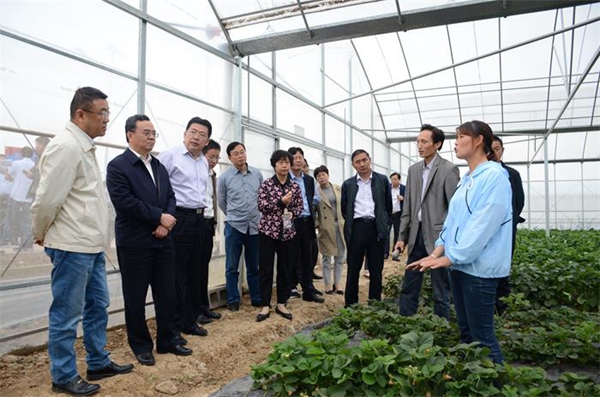 2019051022071016526_fa40X4H1.jpg 2019051022071016526_fa40X4H1.jpg