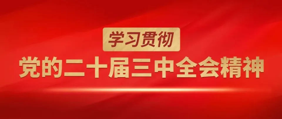 學(xué)習(xí)貫徹黨的二十屆三中全會(huì)精神